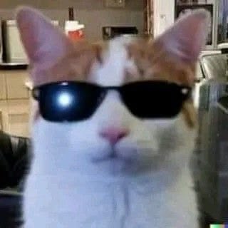 Amazing Cat Picture